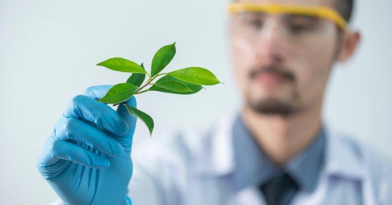 Pexels/ChoknitiKhongchum